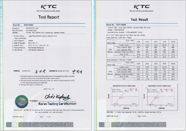 Large Flow ZetTrim Control Valve - 50mm