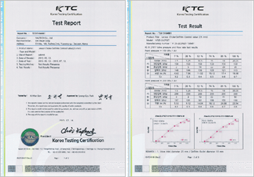 25mm Linear Choke-ZetTrim Control Valve (18㎥/h)